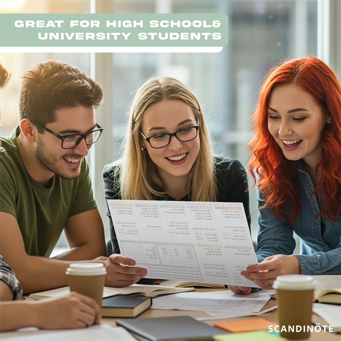 Scandinote Student Study Revision and Exam Planner